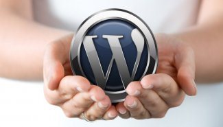 WordPress Yazı Görselinin URL'ni Kaldır